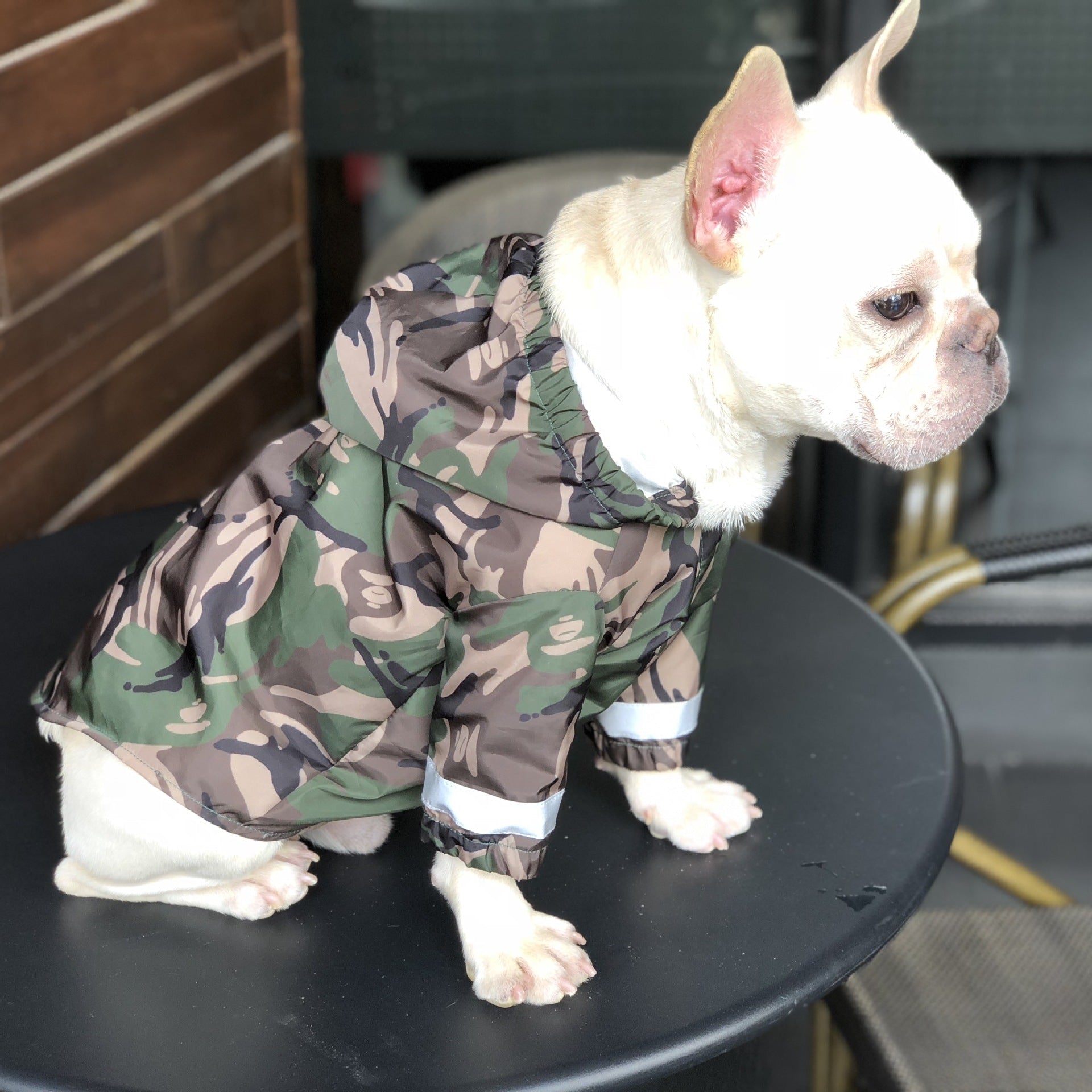 Camouflage Frenchie Windbreaker