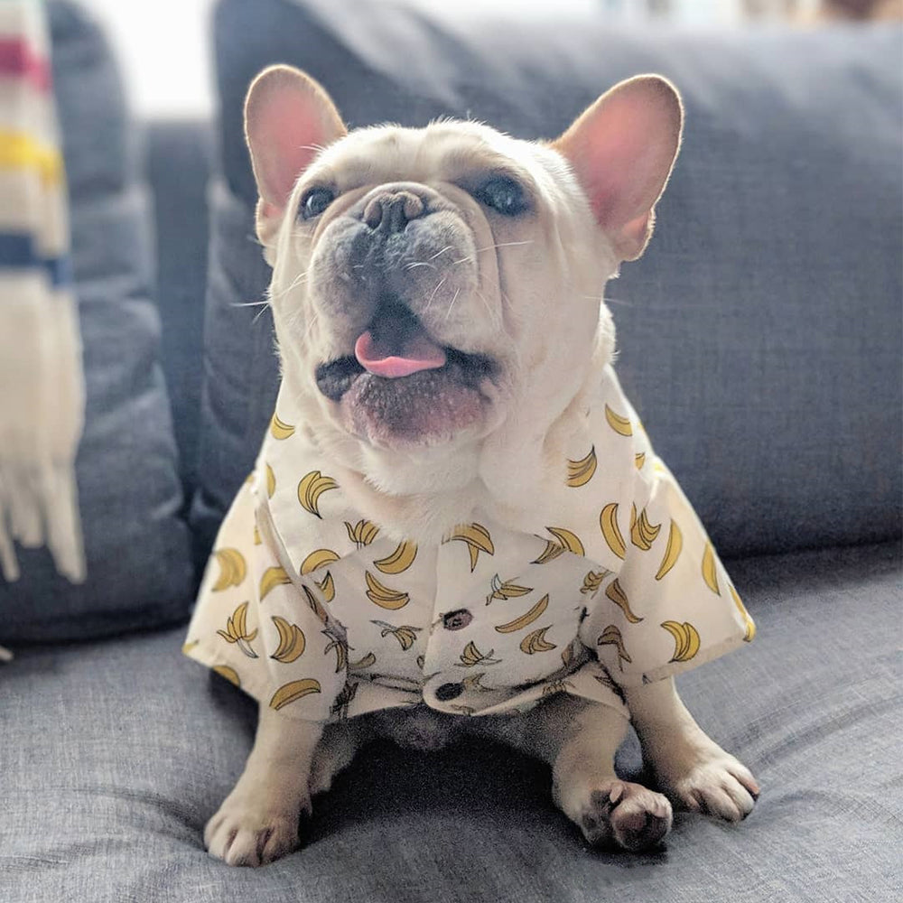 Beach Life French Bulldog Shirt