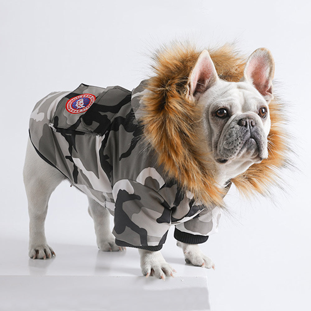 Parka Dog Coat