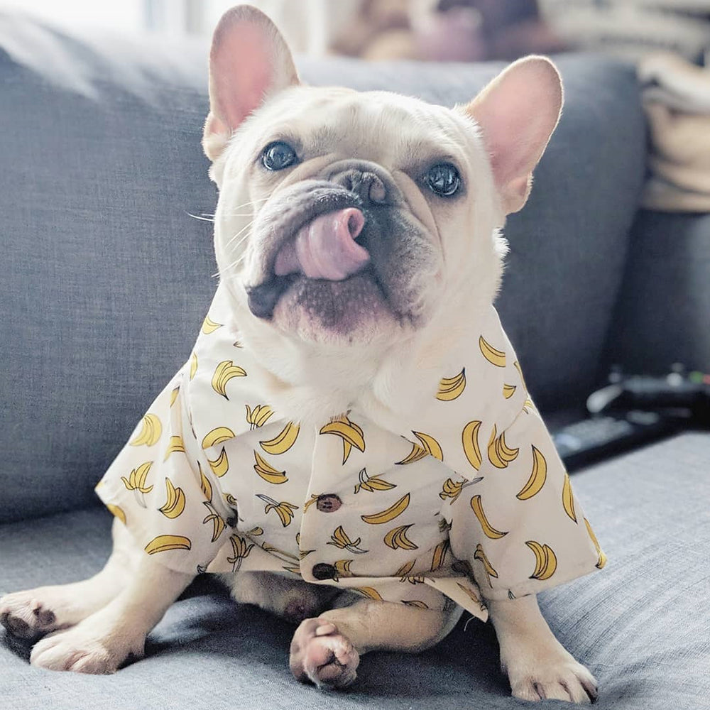 Beach Life French Bulldog Shirt