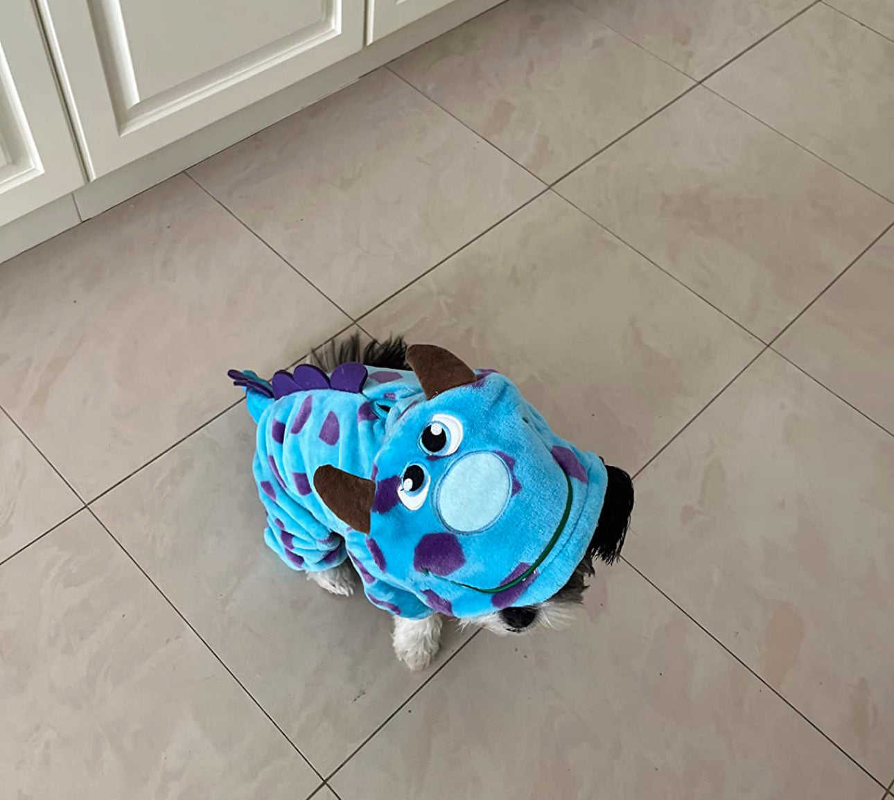 Dinosaur Dog Costume