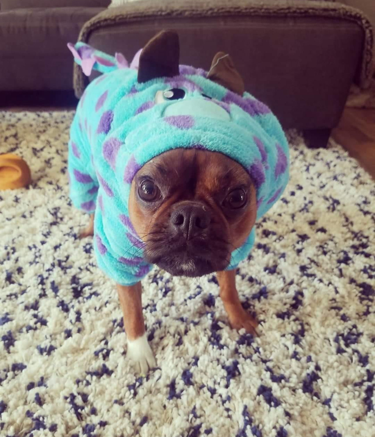 Dinosaur Dog Costume