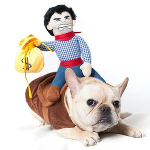 Cowboy Frenchie Costume