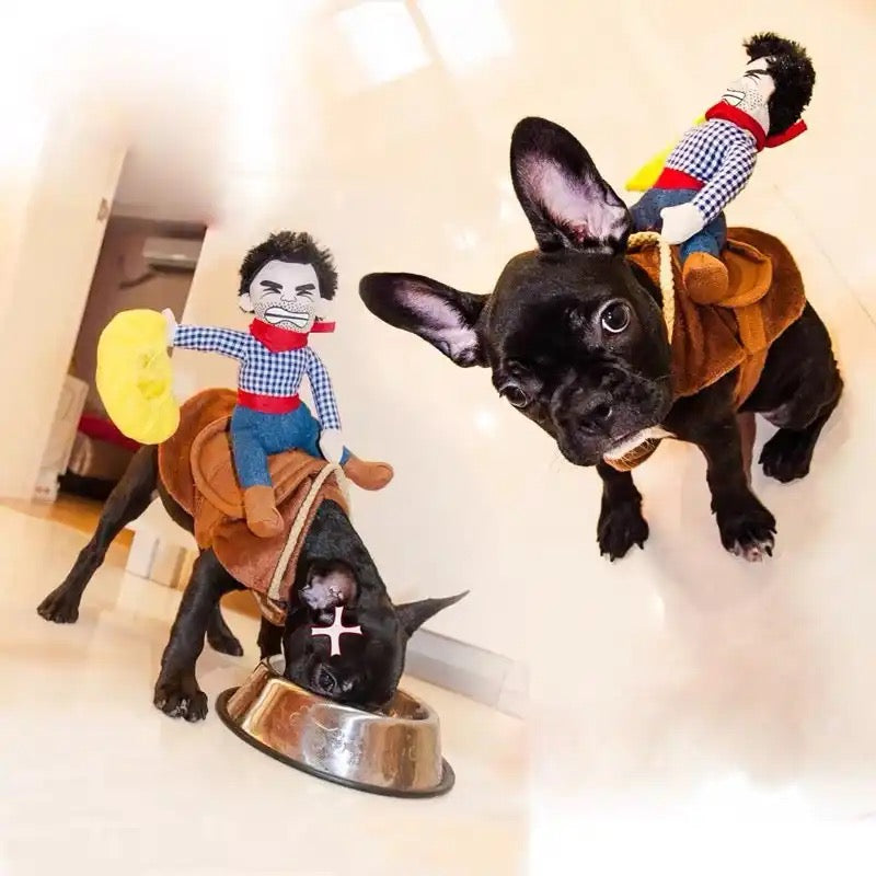 Cowboy Frenchie Costume