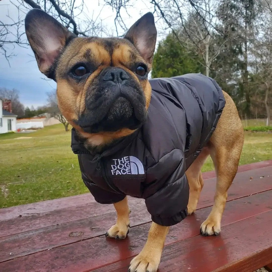 The Dog Face Jacket