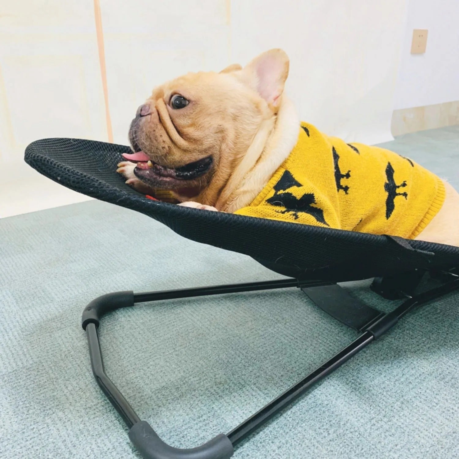 Dog Rocking Chair