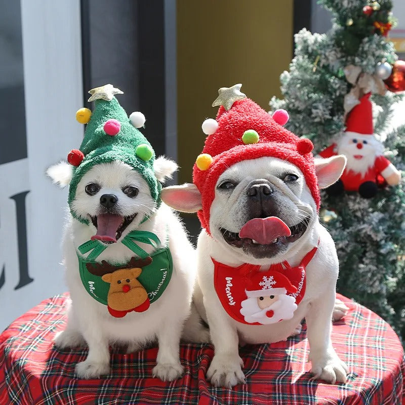 Christmas Hat & Bandana