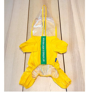 Yellow Dinosaur Raincoat